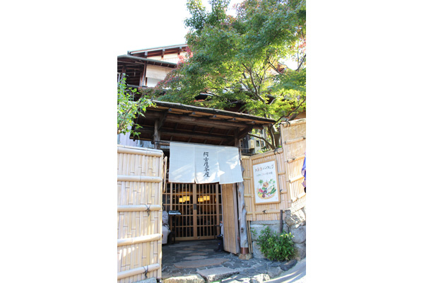 Akoya chaya